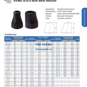 Bầu giảm Lệch tâm (Ecc. Reducer)