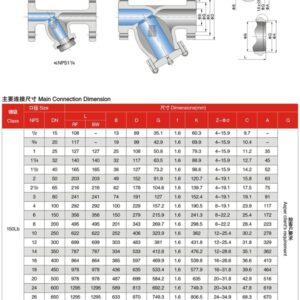 Y Lọc / Rọ hút (Foot Valve)