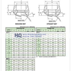 Bản vẽ kỹ thuật Sockolet, Socket Welding End 90 Degree Branch Outlet theo tiêu chuẩn MSS