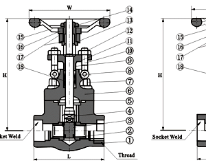 Van cầu thép rèn ASTM A105 Class 3000 kết nối ren và hàn lồng Socket Weld