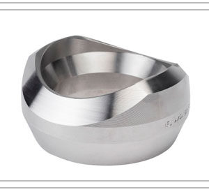 Sockolet inox class 1600 mau sang, lap dat he thong ong cong nghiep, san pham Hong