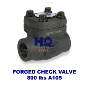 Van một chiều thép rèn forged check valve ren vật liệu carbon A105 Class 800 của