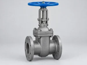 Ảnh minh họa product gate valve