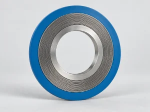 Ảnh minh họa product spiral gasket